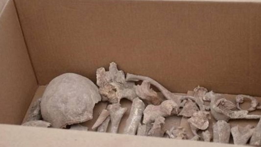 Jujuy: encontraron un esqueleto de 2.000 años de antigüedad