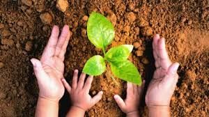 ONG lanza plan nacional de educación ambiental digital