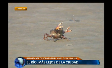 Se armó la playa en la cuidad de Buenos Aires