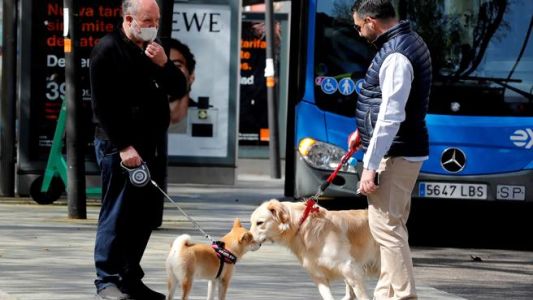 Crearon un registro de voluntarios para que cuiden a las mascotas de los pacientes con coronavirus