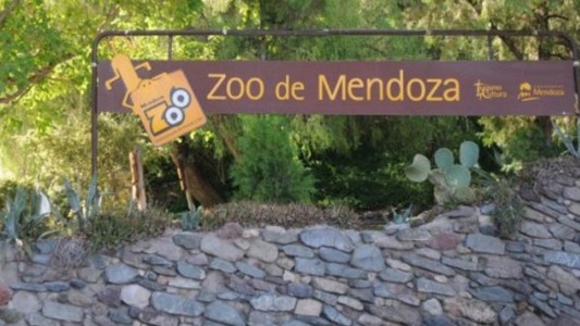 Murieron un puma y un guacamayo en el zoológico de Mendoza