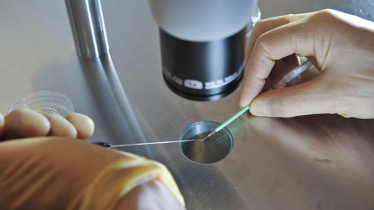 Autorizan fecundación de una mujer con el semen de su cónyuge muerto