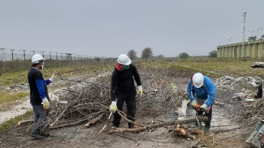 En una de las cárceles de General Alvear internos cortan leña para familias de bajos recursos