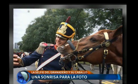 Selfie con el caballo: "El fenómeno del granadero distendido y no serio fue lo que le gustó a la gente"