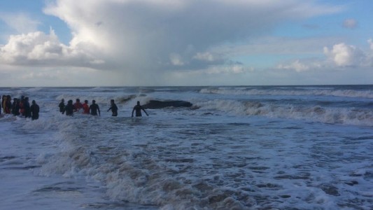 Lograron rescatar a la ballena varada en Mar del Tuyú
