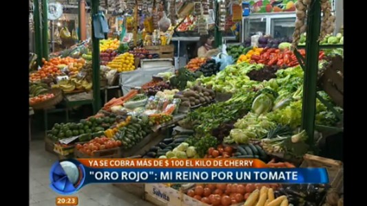 "Oro rojo": mi reino por un tomate