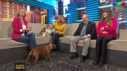 Cómo cuidar a tus mascotas