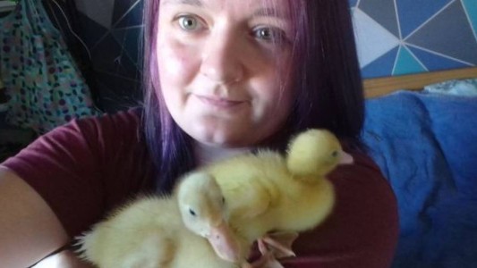 Compró huevos en un supermercado, los puso en una incubadora y obtuvo una grata sorpresa