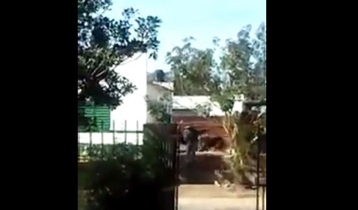 Pánico por tiros en la puerta de una escuela en Concordia