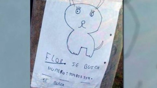 Dos nenes buscan a su perra con un "retrato" porque no tienen una foto