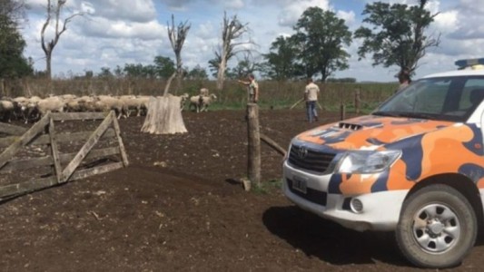 Detuvieron a un comisario en 25 de Mayo acusado de robar vacas