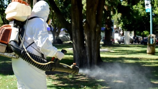 Dengue: 4500 casos en territorio bonaerense