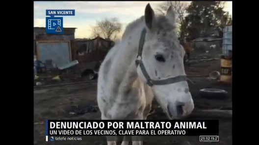 Historia de una verdadera "animalada": torturaba a sus animales y fue denunciado