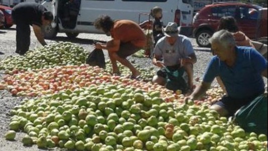 Regalarán 10 mil kilos de manzanas y peras en Plaza de Mayo