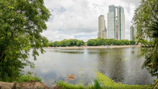 Encontraron un cadáver en la Reserva Ecológica