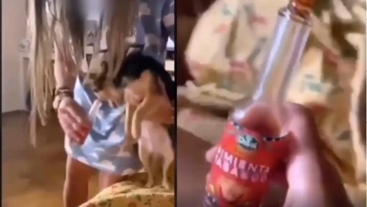 Una chica roció a su perro con salsa picante y lo subió a Instagram