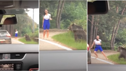 Video: mal final para el intento de sacarse una selfie con un oso