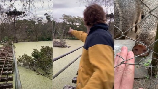 Demoraron a los dos youtubers intrusos que se metieron en el zoo de La Plata