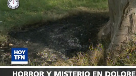 Minuto RSS: Las noticias del día, en este video resumen de 60 segundos