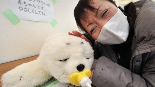 Estudio revela que interactuar con un robot terapéutico alivia la sensación del dolor