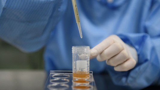 Un laboratorio inglés anunció que probará su vacuna en 30 mil personas