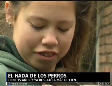 El hada de los perros