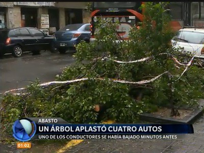 Un árbol aplastó cuatro autos en el barrio del Abasto