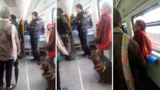 Video viral: la discusión en el tren por una mujer que quería viajar con un perro