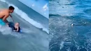 Video: el momento en que un hombre salvó a un nene de ser devorado por un tiburón