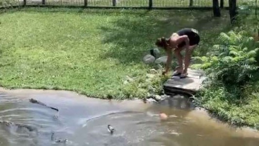 Video: se metió junto a su hijo en un estanque con 35 cocodrilos para recuperar su billetera