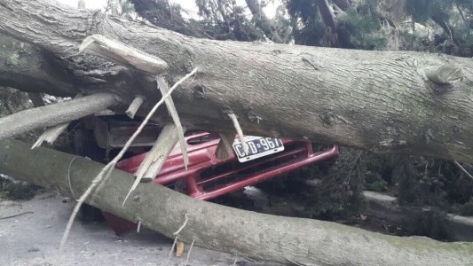 Al menos 250 evacuados y más de 25 mil hogares sin luz en Mar del Plata