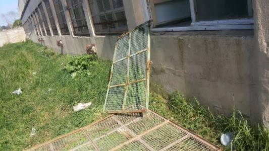 Saquearon una escuela durante el temporal en Mar del Plata