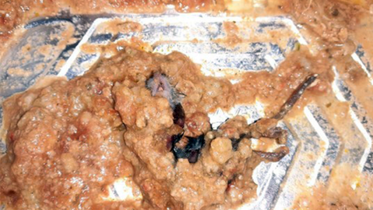 Una mujer encontró un ratón en una comida preparada que compró en el supermercado