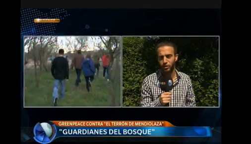 Sigue la destrucción de un bosque para construir un barrio privado