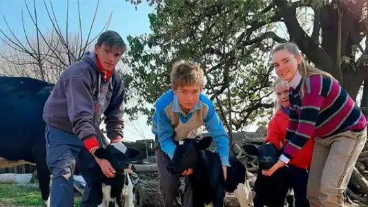 Nacieron terneros trillizos en un campo de Tezanos Pinto