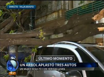 Un árbol cayó y aplastó 3 autos en Villa Devoto