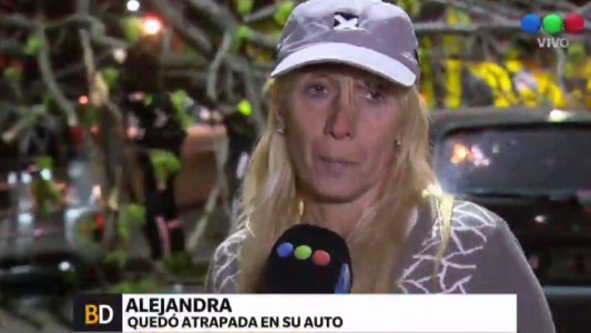 Mujer aplastada en Villa Devoto: "El árbol atravesó mi parabrisas"