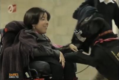 Perros de asistencia: historias de amor y ladridos