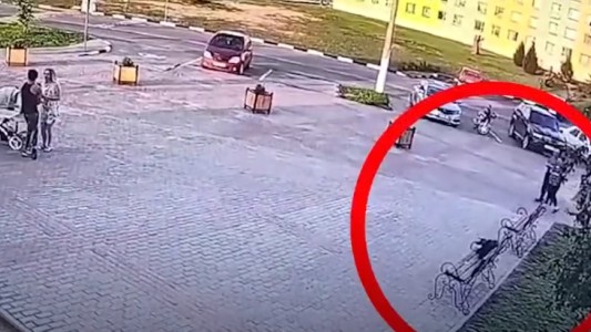 En una plaza un cuervo le sacó el dinero que le había robado a una mujer