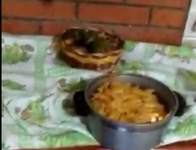 Robo en Monte Hermoso: destrozos en una casa, se hicieron unos fideos y defecaron en un balde