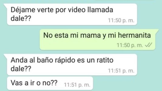 Descrubrió que un hombre acosaba a su hija de 9 años por WhatsApp y TikTok