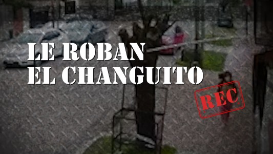 Le robaron el changuito de las compras en José C. Paz
