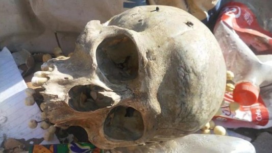 Punta Alta: hallaron un cráneo en el basural municipal