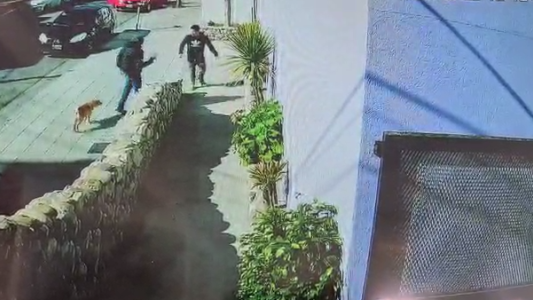 Pitu Blázquez impidió un insólito robo en la puerta de su escuela de acrobacia