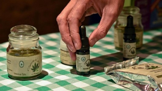Presentan proyecto para que se habilite en la provincia de Buenos Aires el uso de marihuana medicinal