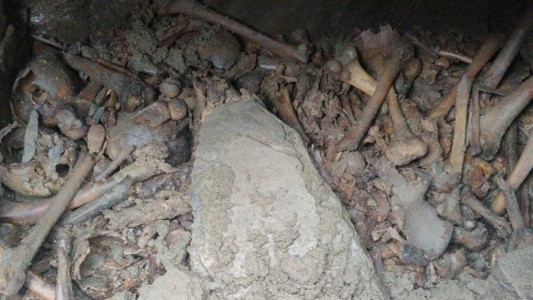 Fotos: realizaba arreglos en su jardín y encontró catacumbas con restos humanos