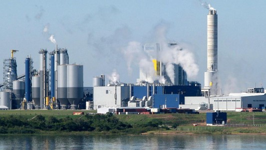 Pastera: ratifican que el informe oficial demostró "valores de contaminación mayores" en el río Gualeguaychú