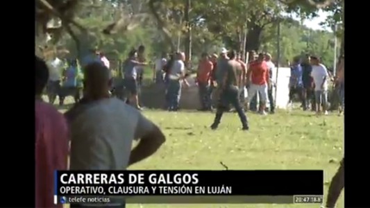 Carreras ilegales de galgos: operativo en Luján