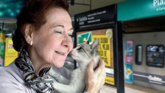 Más del 70% de los porteños quiere que las mascotas puedan viajar en subte