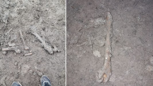 Caso Facundo: la querella asegura que hay "un cementerio clandestino de la policía bonaerense"